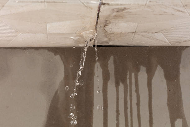 Professional Water Damage Repair technician working in Manchester, VA